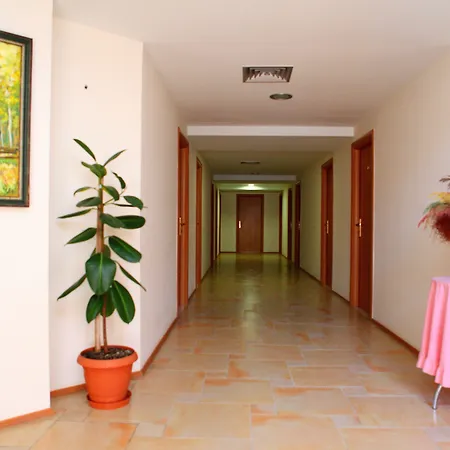 Oaz Hotell 3*